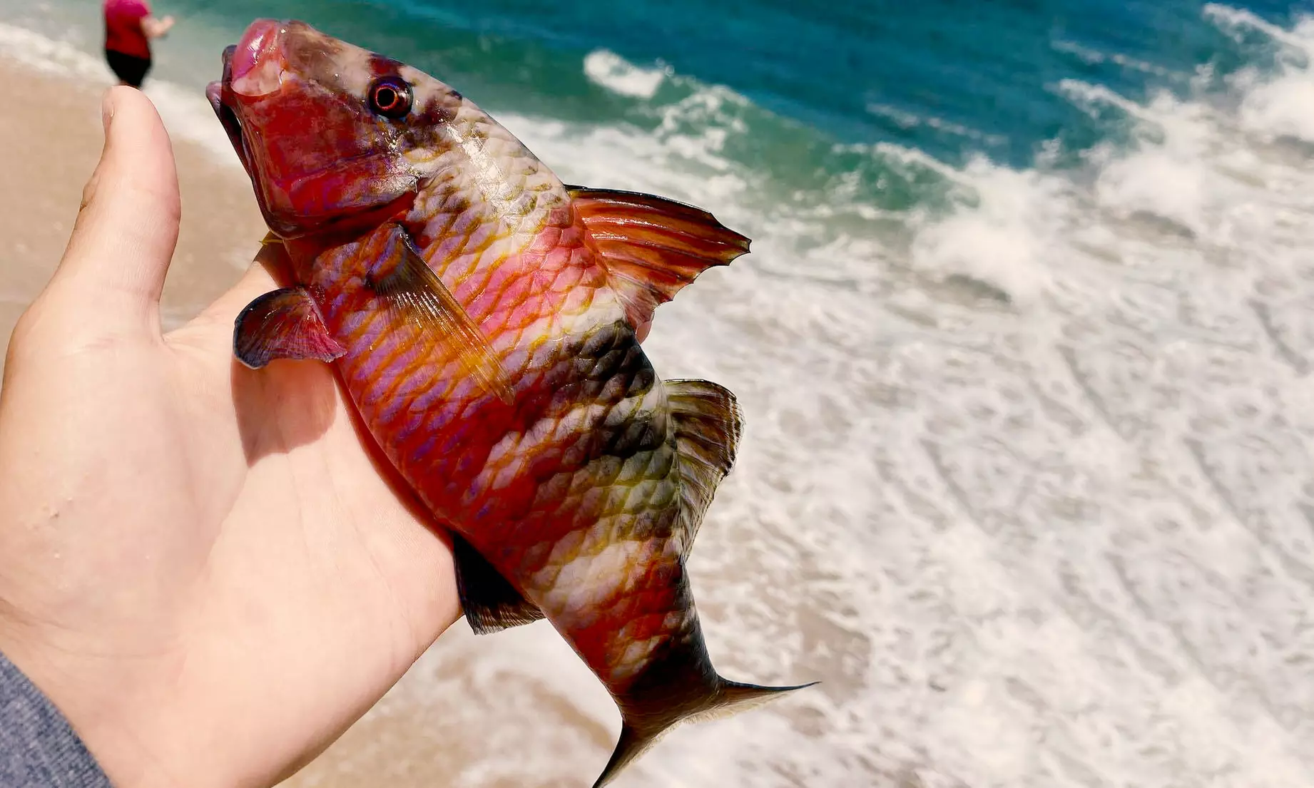 Group or Private Fishing Tour for Two or Four People