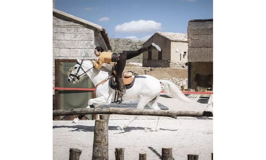 Image 10: Entradas de 1, 2 o 3 días para 1, 2 o 3 personas a Puy du Fou