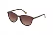 Ted Baker Premium Acetate Designer Sunglasses Collection - Second Medium
