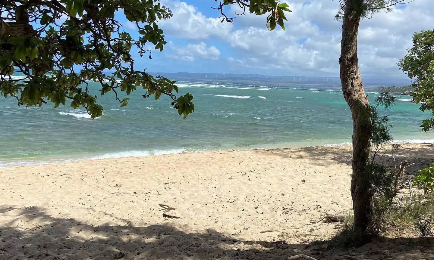 Group or Private Fishing Tour for Two or Four People
