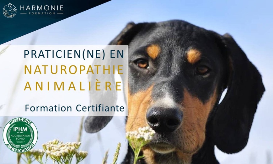 Image 1: Formation praticien.ne en naturopathie animalière