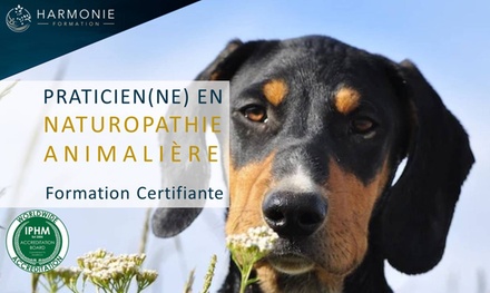 Formation en ligne en naturopathie animalière - Harmonie Formation