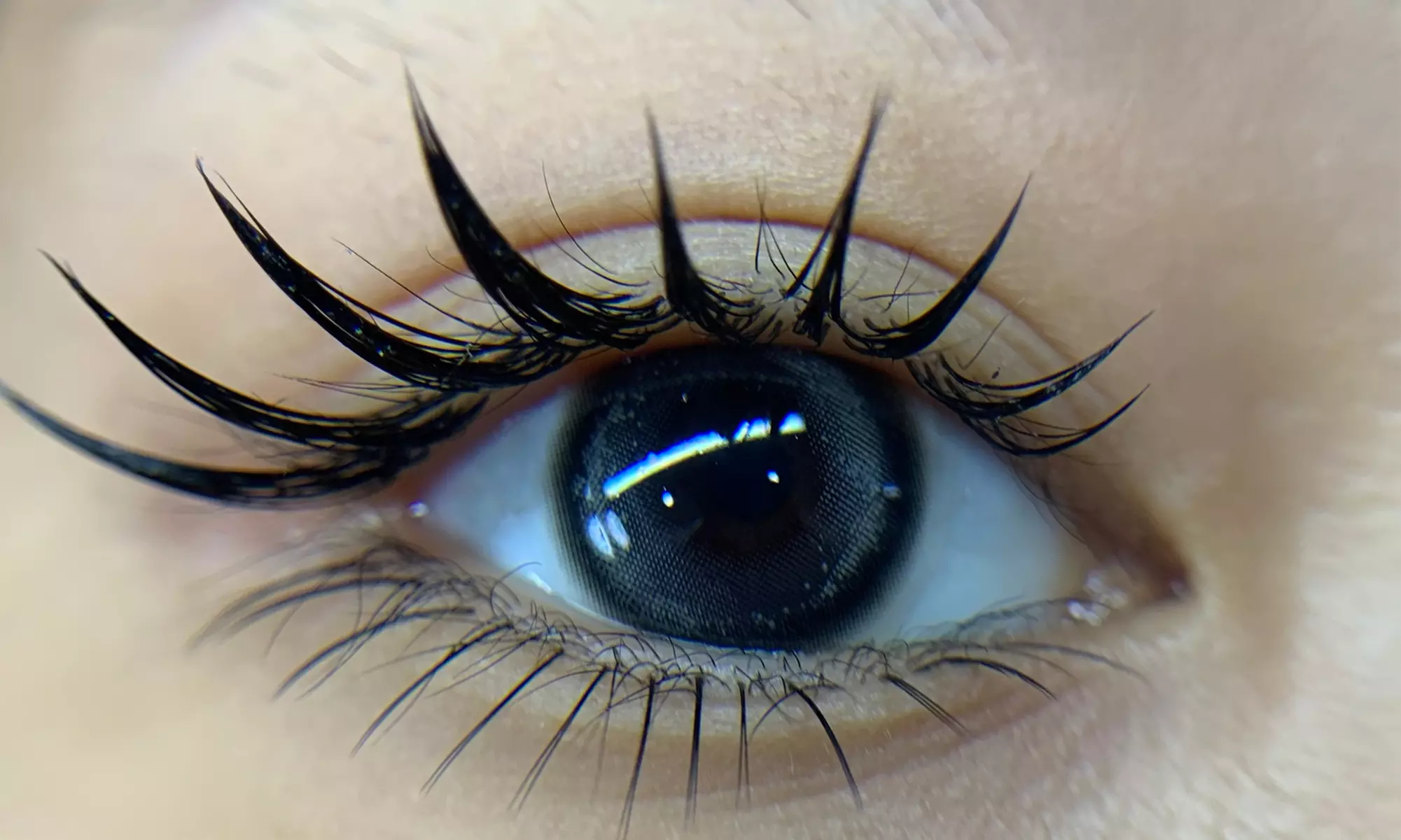 Classic to Volume Lash Sets, Korean Lash Lift & Brow Lamination at Chinchin Lash & Brow(Up To 30% Off) - Primary Image