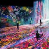 Image 4: Yas Island Parks & Abu Dhabi Attractions: Snow Park, Louvre, teamLab