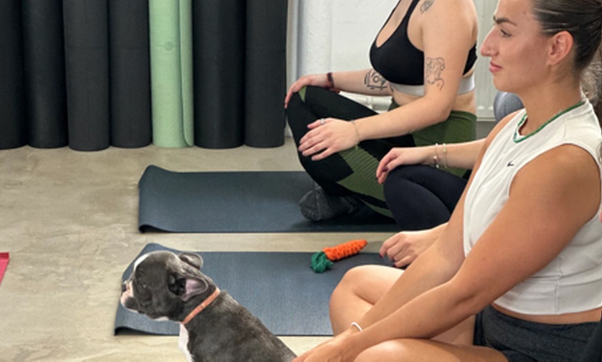 Image 3: Indulge in a 1 Hour Puppy Yoga Class for a Child or Adult