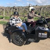 Image 1: Discover Scenic Santa Ynez w/ Friends on a Sidecar Ride for 2-6 People