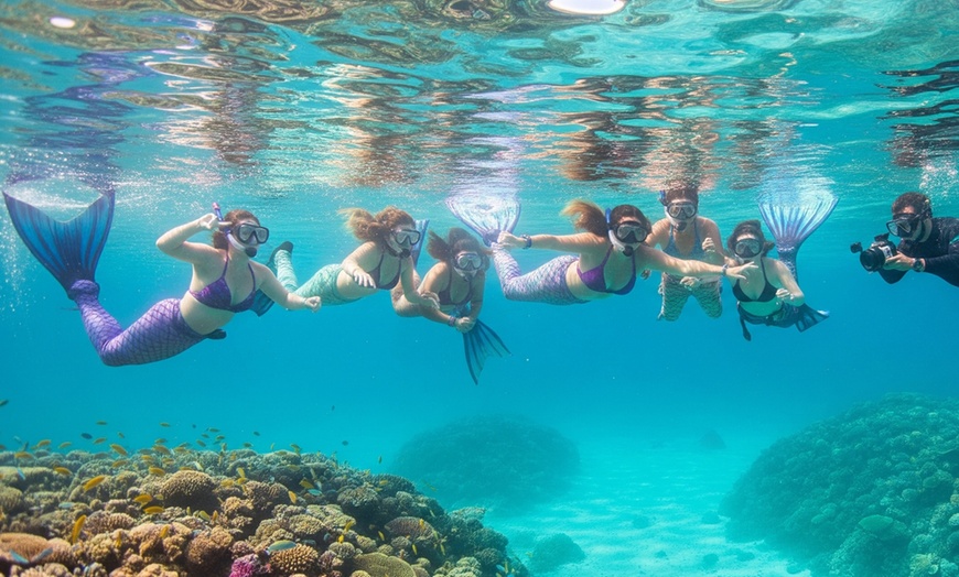 Image 8: Experiencia sirena de 90 minutos en el mar con fotos incluidas 
