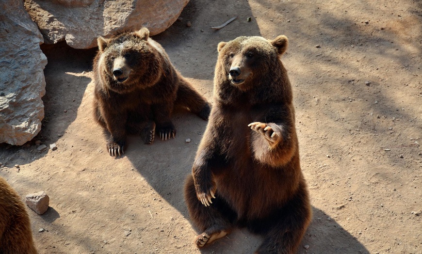 TERRA NATURA MURCIA en - Espinardo | Groupon