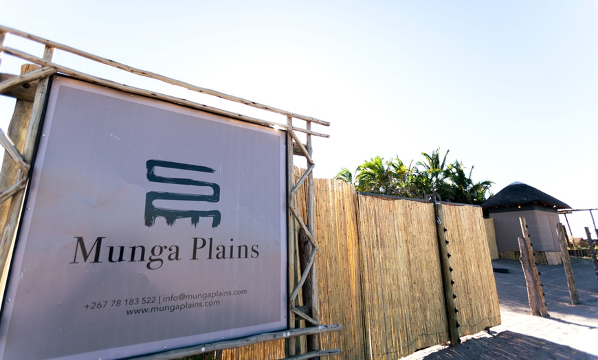 Image 12: Zimbabwe: 7-Night Yoga & Safari Retreat