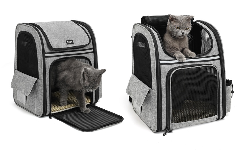 Image 5: Expandable and Foldable Pet Backpack with Ventilated Mesh Windows