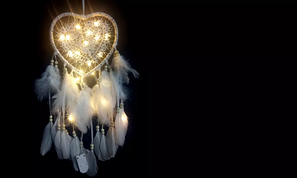 1 of 2 dromenvangers met led-lichtslinger