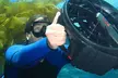 Embark with 2 Hour Casino Point, Night, Power Snorkeling for Two or Four at Diving Catalina (Up to 22%Off) - Second Medium