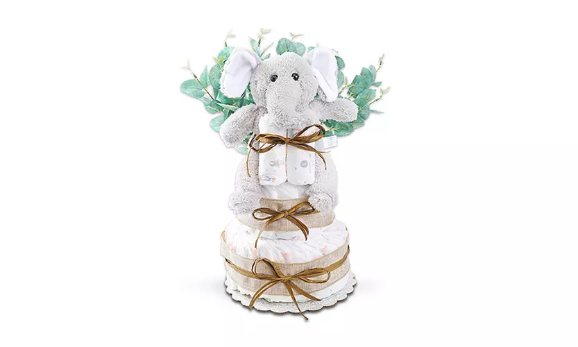 Baby Gift Baskets from Alder Creek (Up to 30% off)