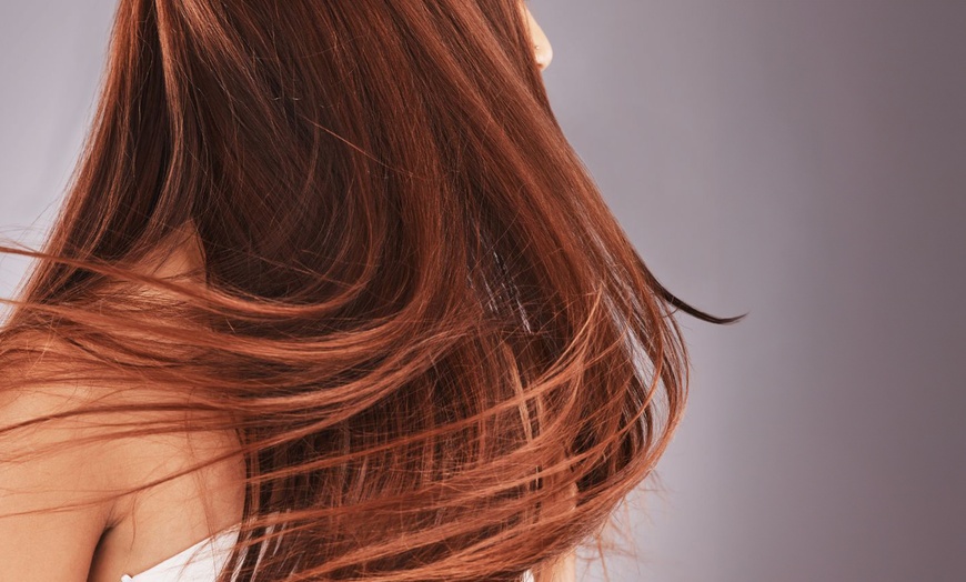 Image 1: Brazilian L’Abrea Keratin Treatment