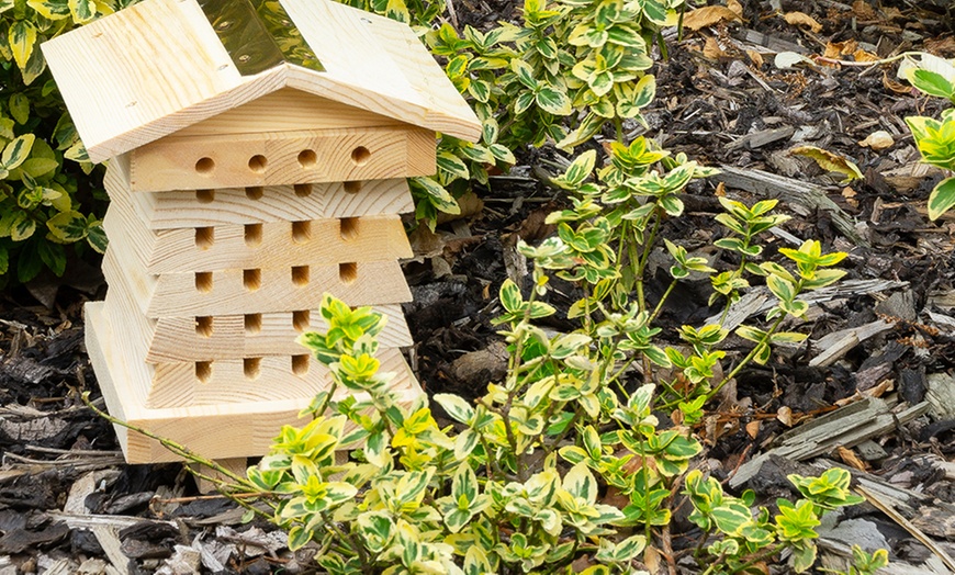 Image 7: Wooden Bee House