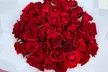 Zahrat Al Wurood Flowers' up to 100 Roses in Your Favorite Color (Up to 38% Off) - Image 6