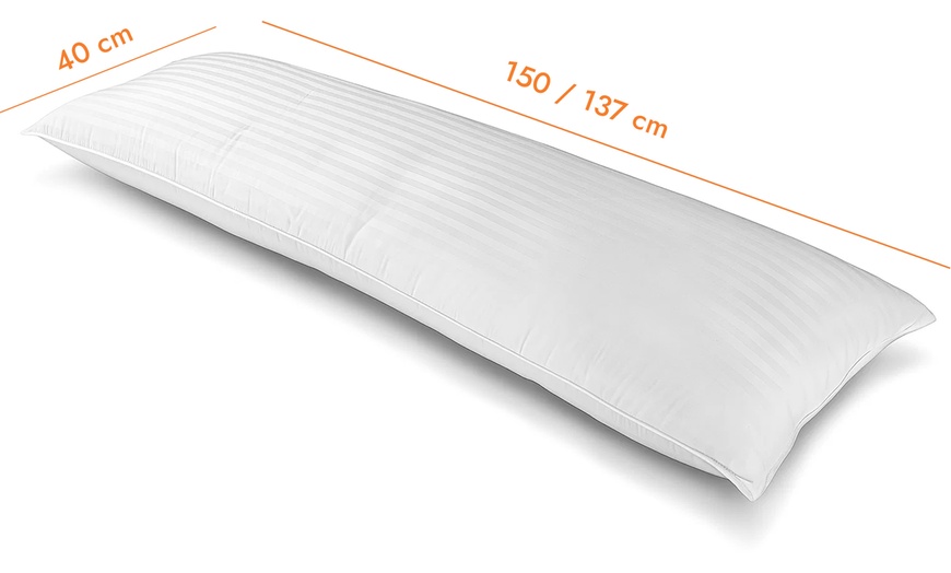 Image 7: Traversin plumes palace, plumes et duvet, Sampur