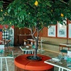 Image 3: Breakfast Buffet with Pool Access for One Child Or Up to Four Adults