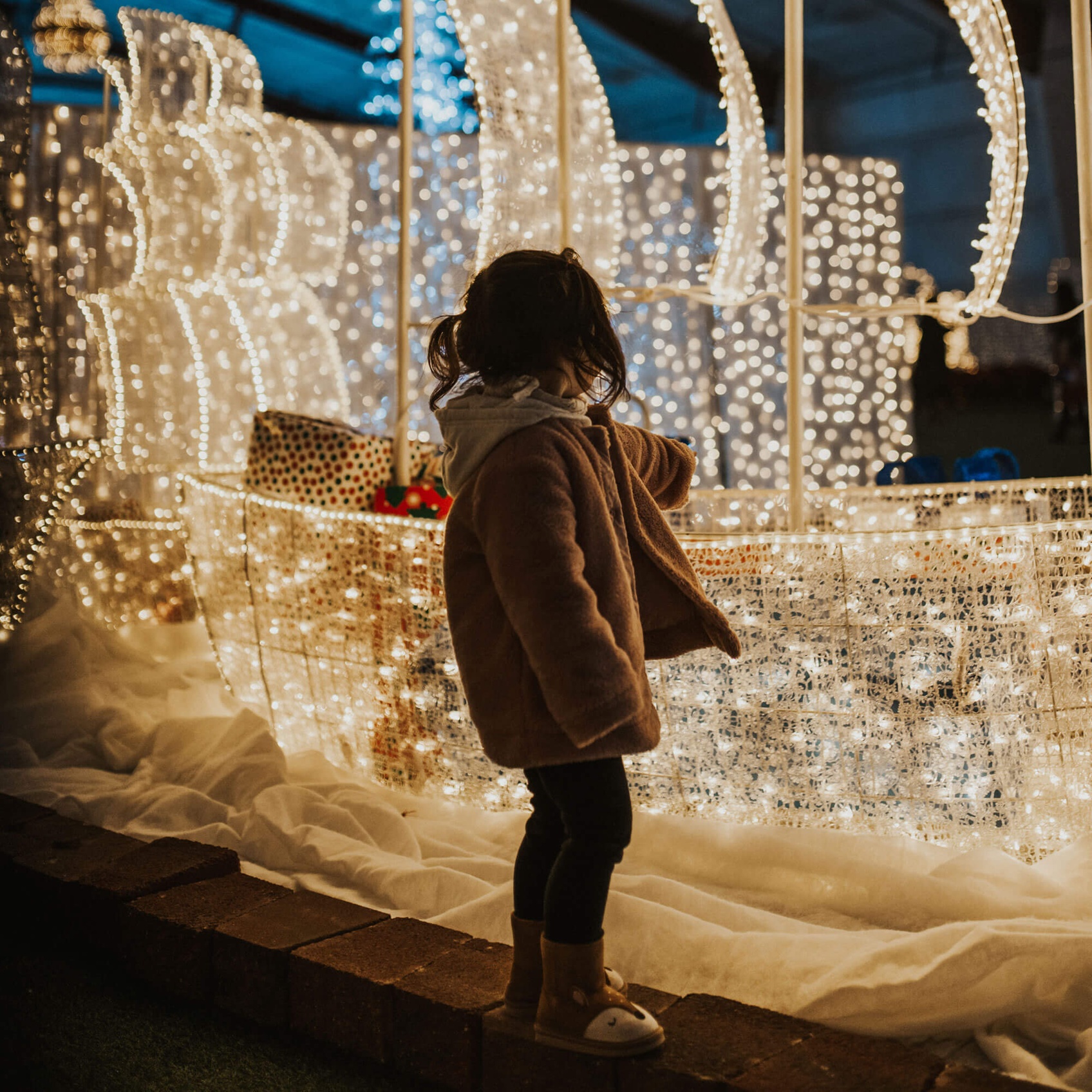 Have Fun & Celebrate at Christmas Lights Festival at Roto-Rooter Park