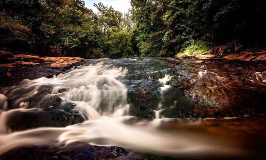 Image 2: Guided Easy Hike, Lunch and Exclusive Wine Tasting Experience