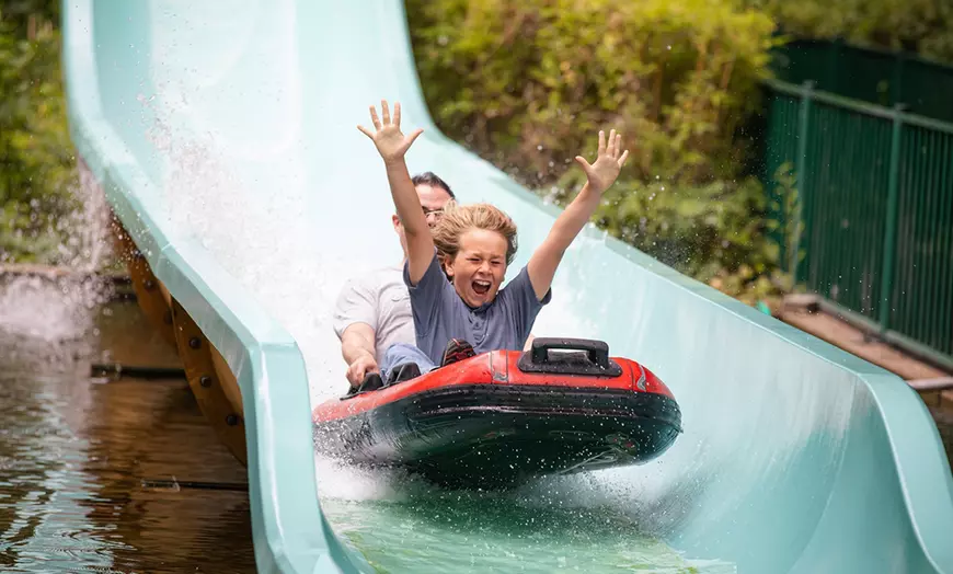 Image 11: Duik in het familieplezier met een dagje dolfinarium