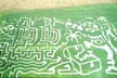 Get Lost in Fun: Davis Family Farm Fall Corn Maze Adventure (Up to 32% Off) - Second Medium