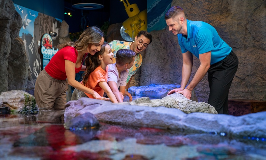 Image 6: ICON Park Attraction Deals - Madame Tussauds, SEA LIFE, Orlando Eye 