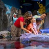 Image 6: ICON Park Attraction Deals - Madame Tussauds, SEA LIFE, Orlando Eye 