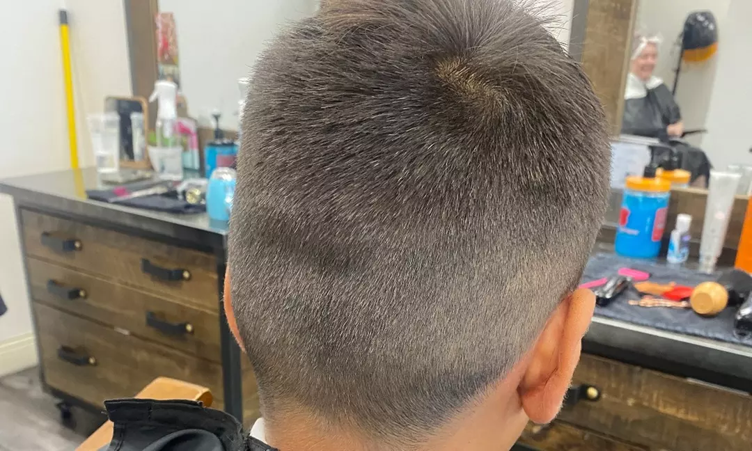 Haircut or Trim w/ Shampoo/Roots Touch Up/Full Color & Blow Dry