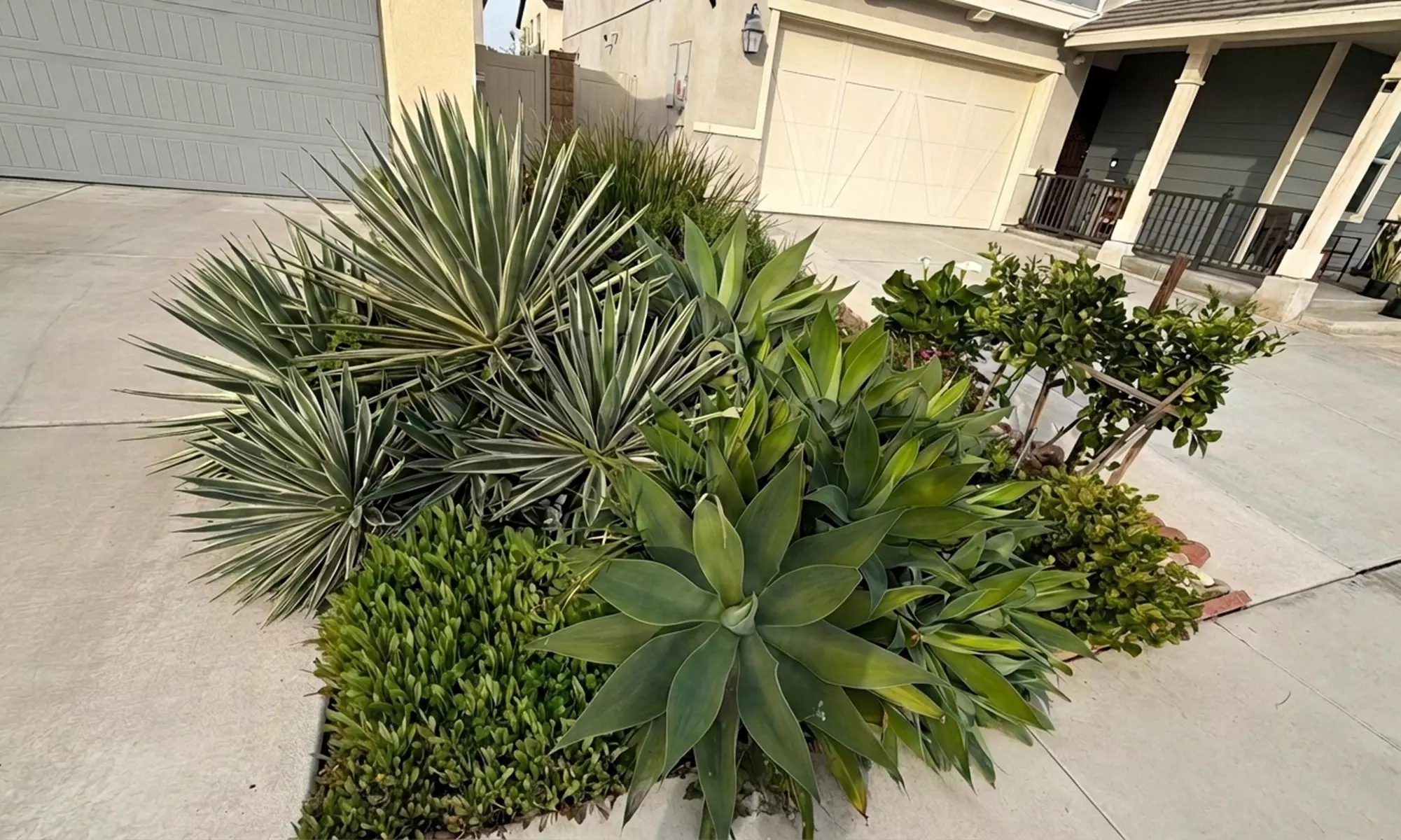 On-site Landscape Design Consultation & Detailed Project Estimate