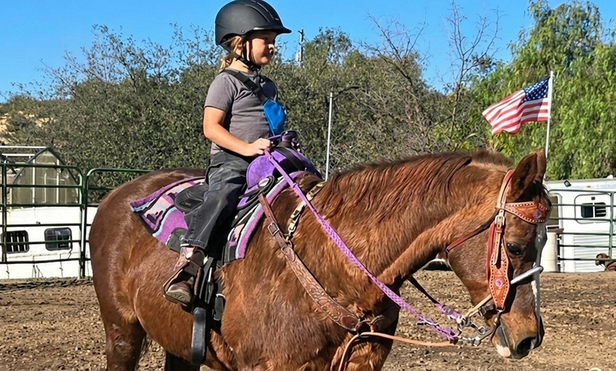 Image 5: Horse Riding Training Session - Spring Break - 3-Day Program