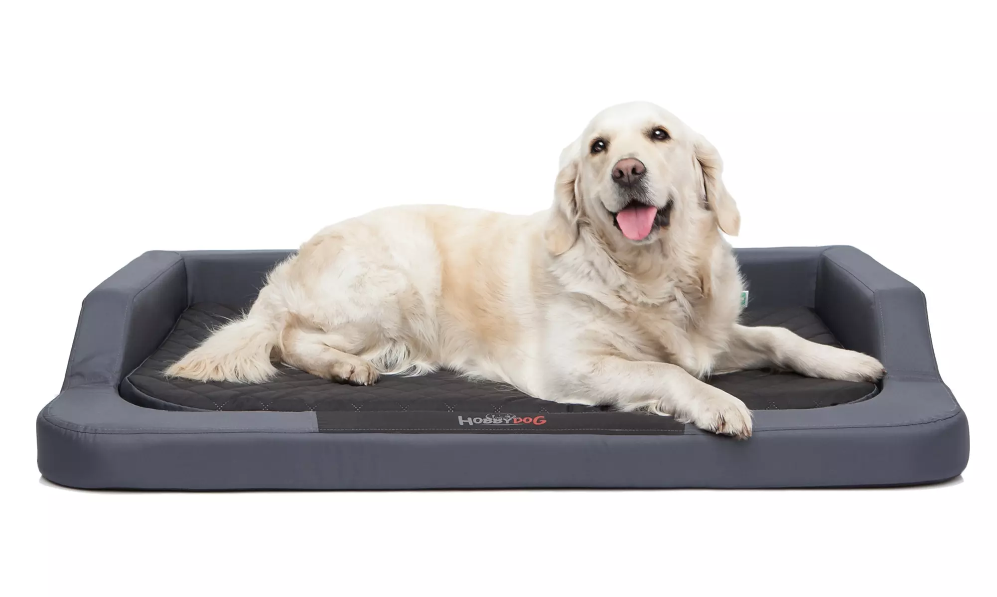 Lit médical pour chien avec mousse à mémoire de forme - Primary Image