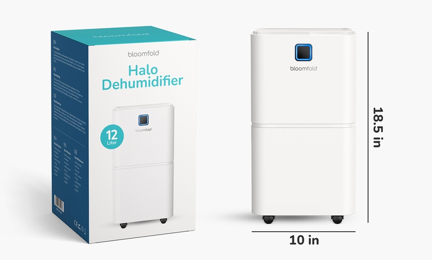 Image 7: Déshumidificateur Bloomfold 12 litres