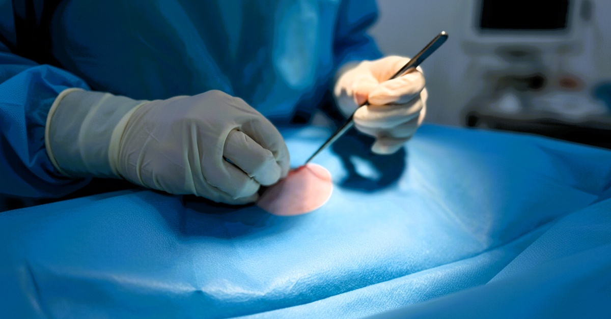 Comprehensive Vet Care: Vaccinations, Surgeries, X-rays For Pets Comprehensive Vet Care: Vaccinations, Surgeries, X-rays For Pets