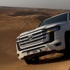 Image 12: Explore VIP Desert Safari Dubai or VIP Hummer Desert Safari 