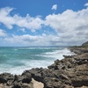 Image 8: Oahu Jeep Sightseeing Tour Full day Kayaks and Snorkel for Up to Six