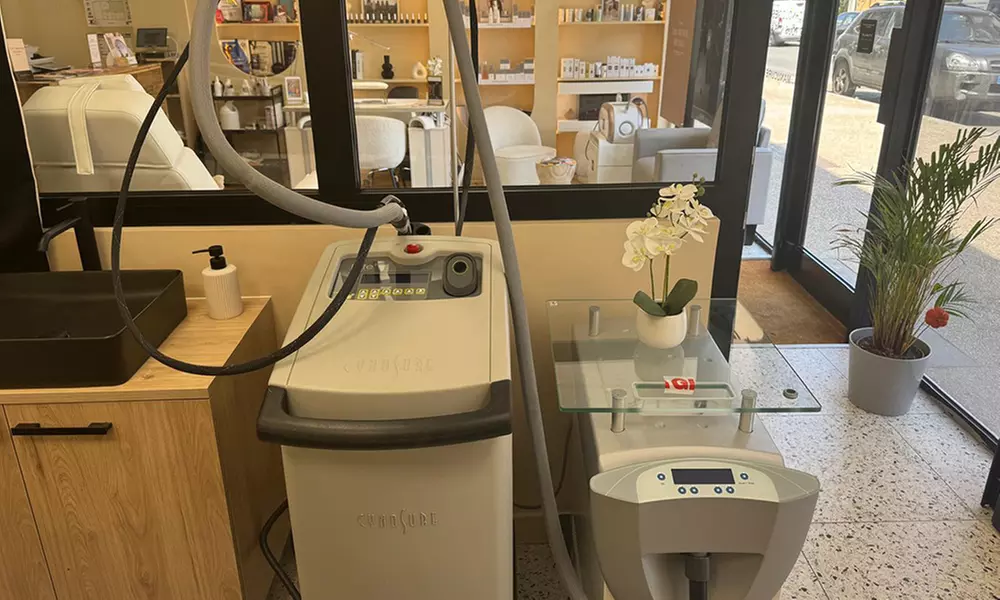 5 séances d'épilation laser d'une zone au choix à Romainville au French Riviera Studio (jusqu'à 79% de remise) - Primary Image