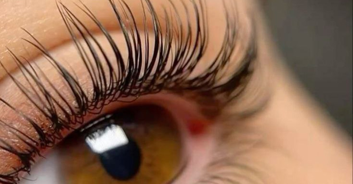 Lash Extensions Or Lamination With Optional Brow Threading And More Lash Extensions Or Lamination With Optional Brow Threading And More