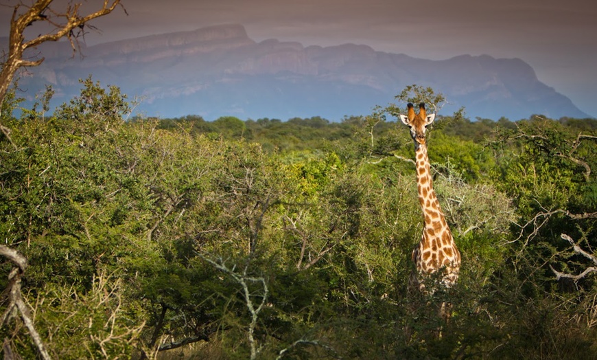 Image 8: South Africa: Up to 7-Night Experience