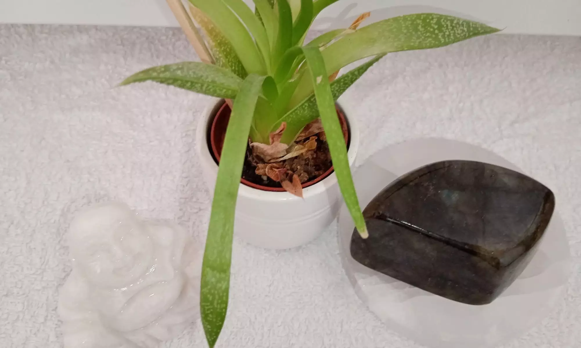 Massage détente du visage avec Cécile Dubois