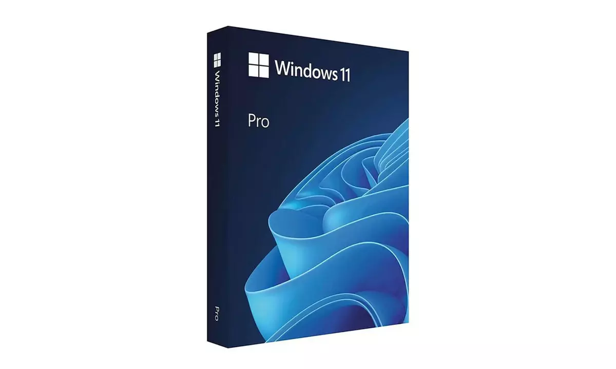 Microsoft Windows 11 Pro oder Family (Home)