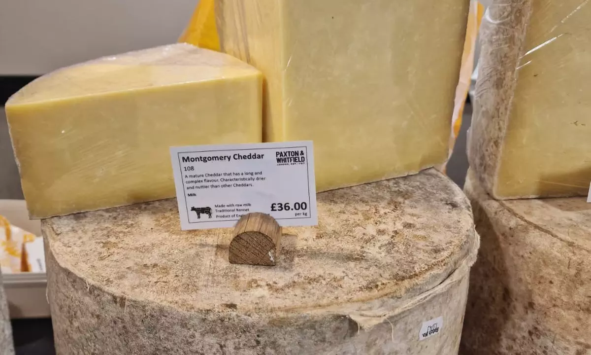 Cheese Tasting Tour for One, Two Four or Eight - Up to 38% Off