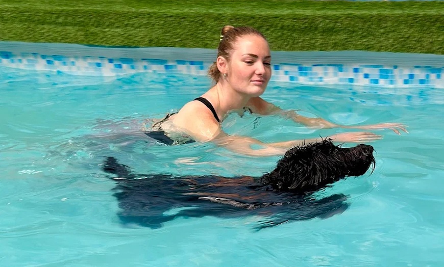 Image 8: Water Fun Awaits: Doggy Fun Swim Session (Owners Welcome to Swim Too)