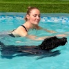 Image 8: Water Fun Awaits: Doggy Fun Swim Session (Owners Welcome to Swim Too)