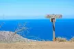 Guided 2-Hours Tour: Canyons, Scenic Coastlines & Wildlife at Catalina Island for One Child, Adult, or Senior  - Second Medium