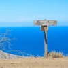 Image 4: Guided 2-Hours Tour: Canyons, Coastline & Wildlife at Catalina Island 