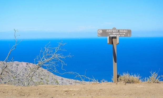 What to expect media