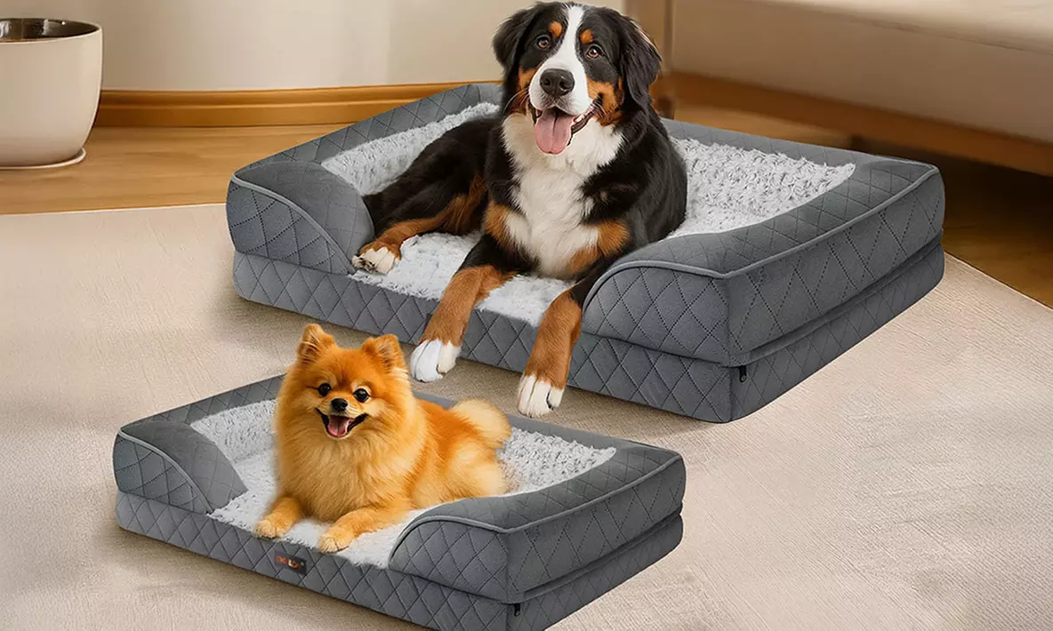 Pawz Skylos Orthopaedic Dog Bed with Bolster Support