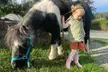 Equestrian Centre: Join 30 or 60-Min Horseback Riding Lessons (Up to 31%Off) - Second Medium