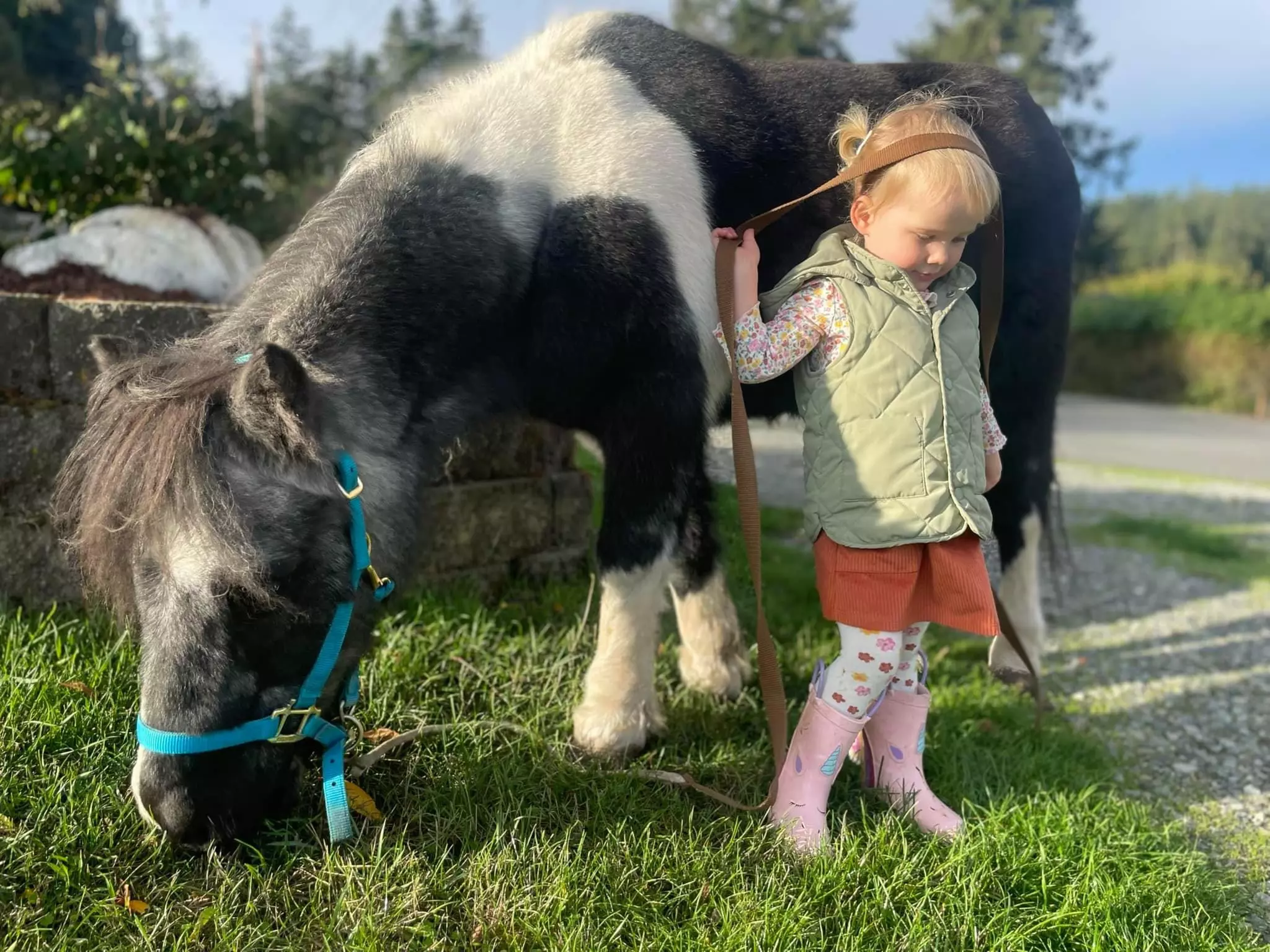 30 or 60-Min Horseback Riding Lessons: One or Parent/Tot – Select Days